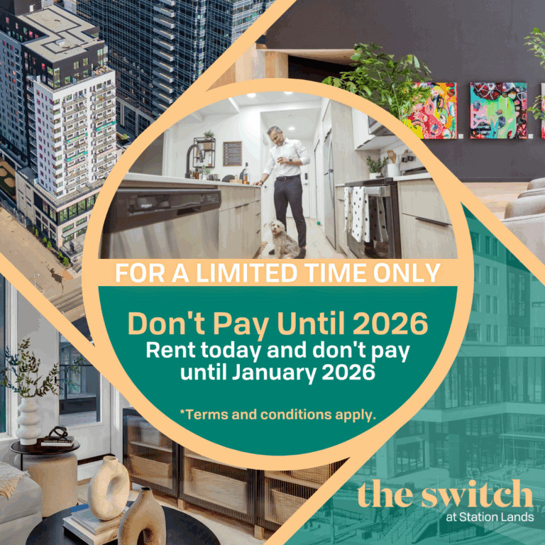 Don't Pay Until 2026 (1)